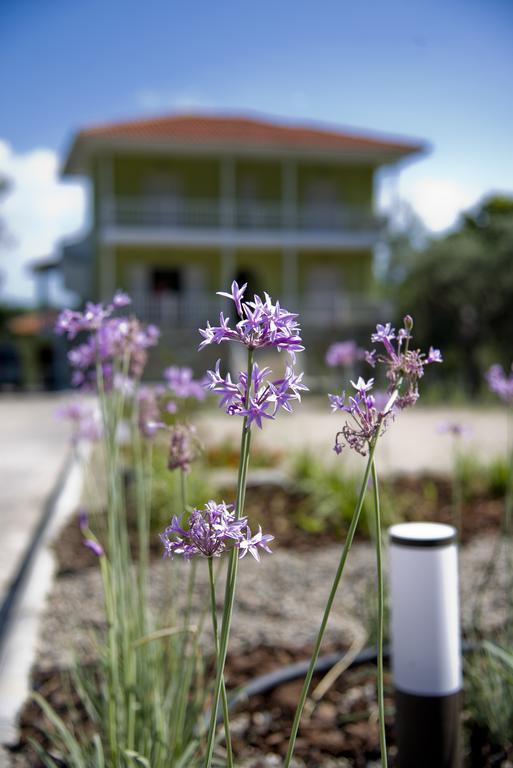 Ferienwohnung Olivegrove House Vourvourou Exterior foto