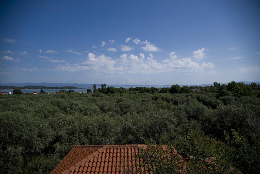 Ferienwohnung Olivegrove House Vourvourou Exterior foto